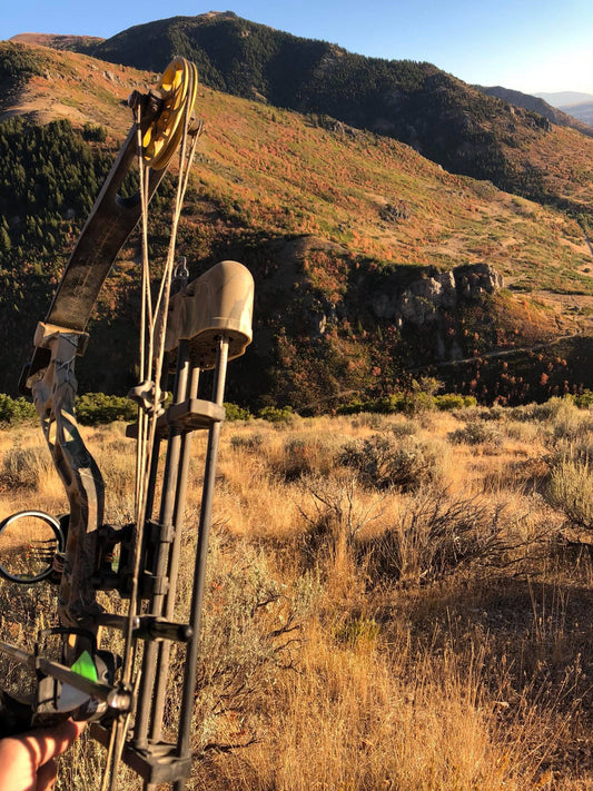 Why I use a Wrist Release for Bowhunting