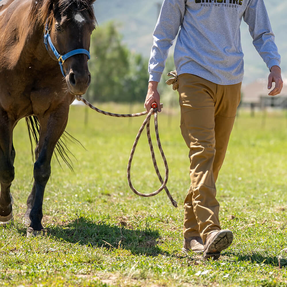 A person in a gray long-sleeve shirt and tan pants walks in a grassy field holding a rope attached to a brown horse wearing a blue halter.