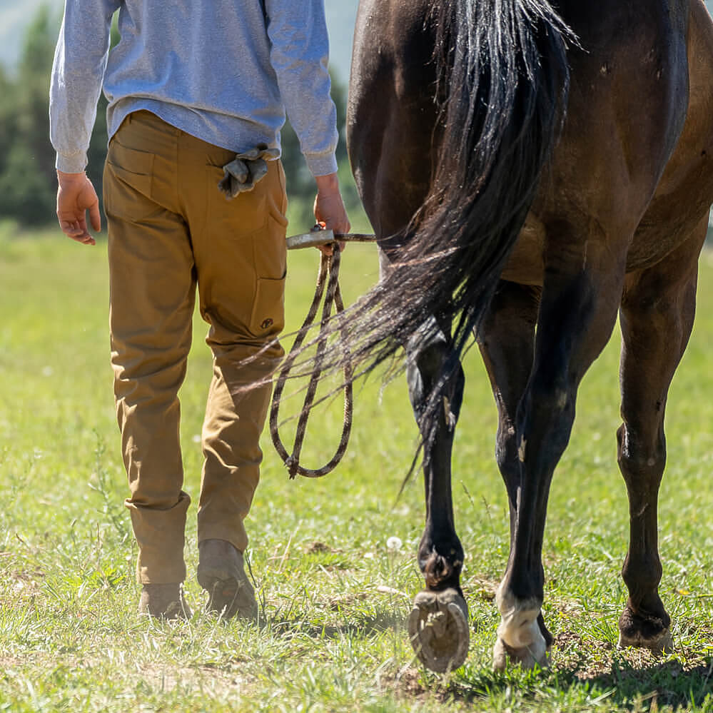 A person wearing tan breeches and a light gray long-sleeve shirt walks beside a dark brown horse in a grassy field, holding the horse's reins.